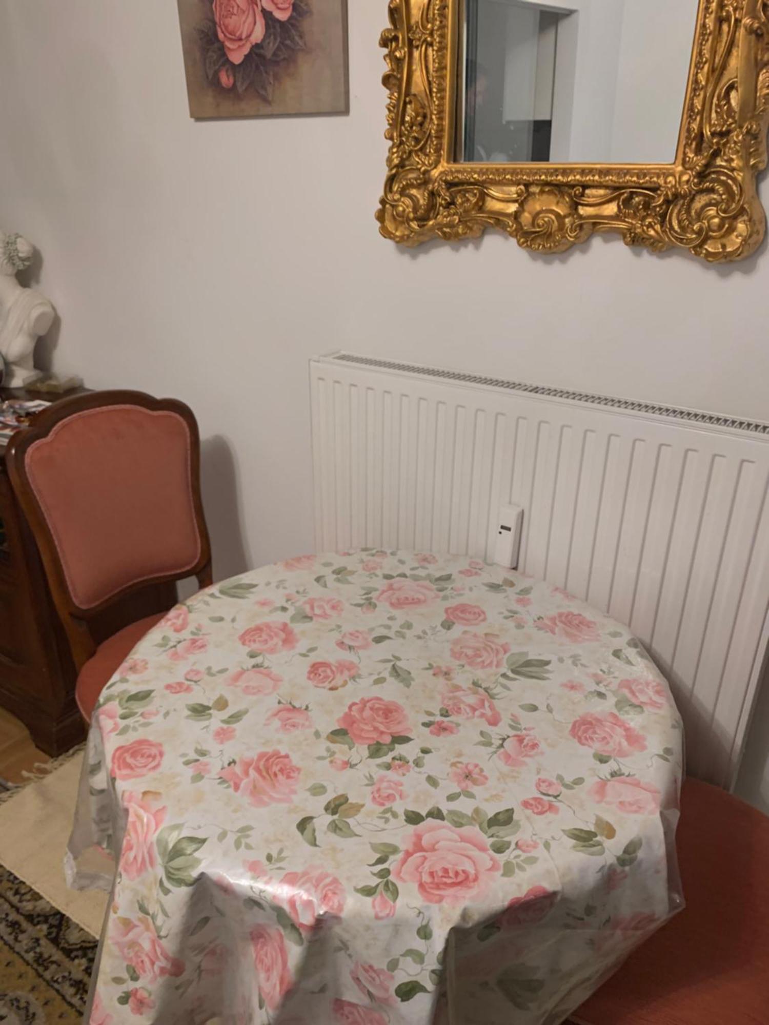 Einzimmerwohnung Am Jakomini Грац Экстерьер фото